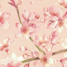 Pastel Pink Cherry Blossoms Floral Print Italian Paper ~ Tassotti